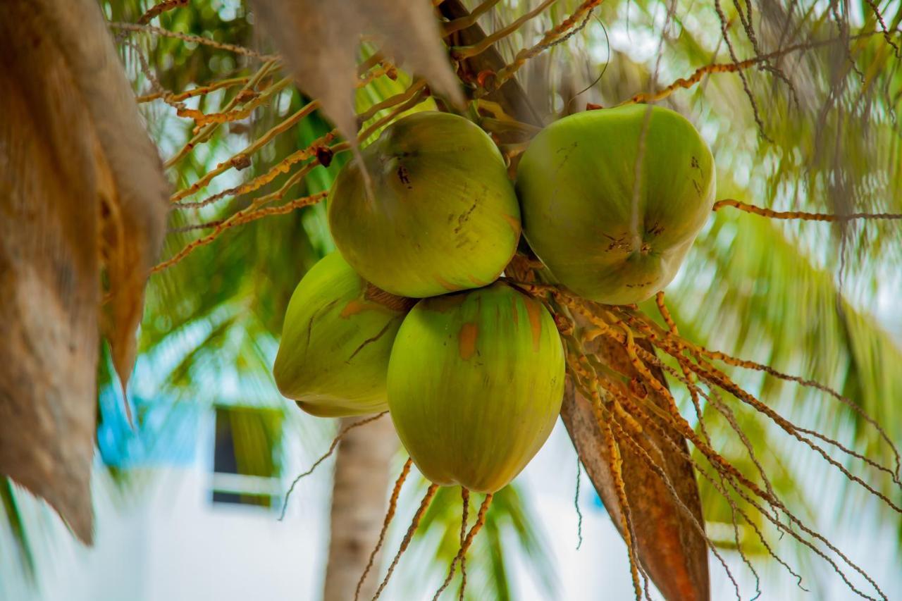 Pwani Beach Boutique Hotel Zanzibar Pwani Mchangani Dış mekan fotoğraf